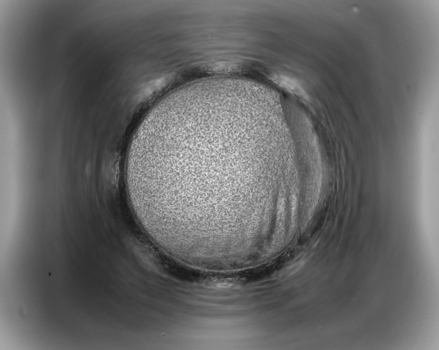 X0000086740495200704271653