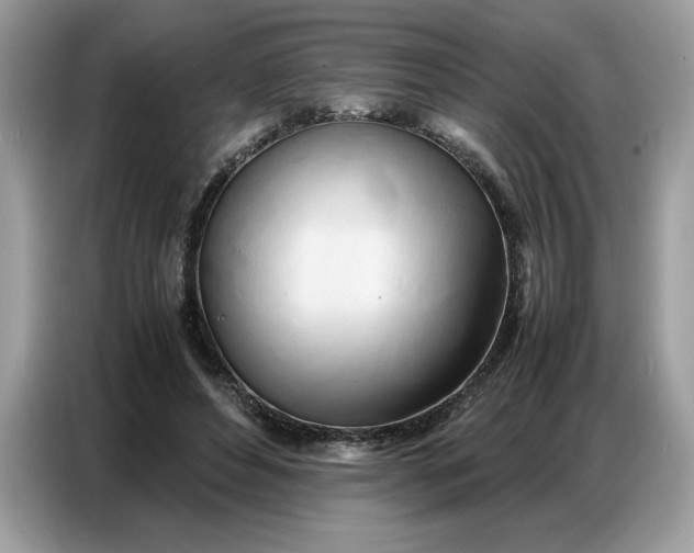 X0000086740496200704271653