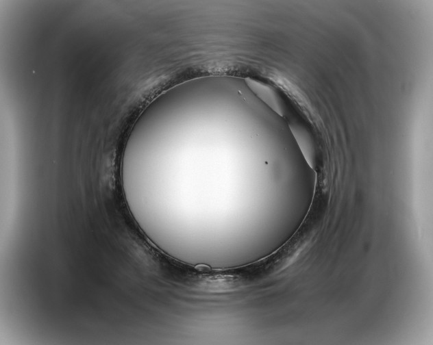 X0000086740497200704271653