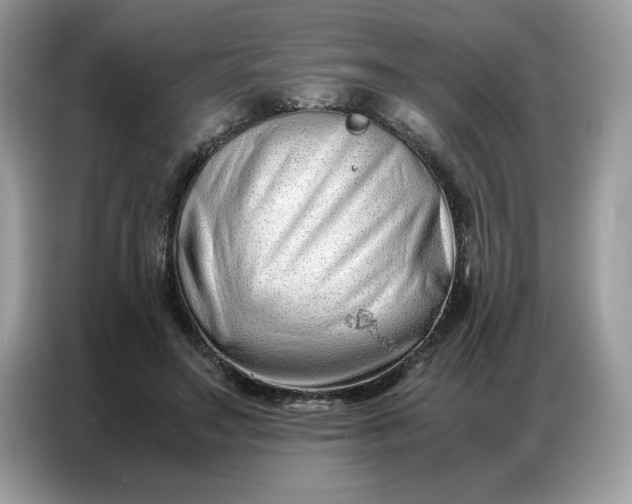 X0000086740499200704271653