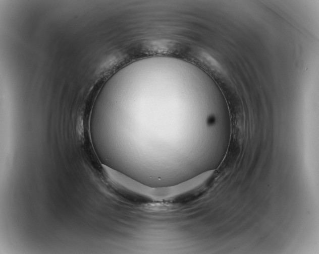 X0000086740500200704271653