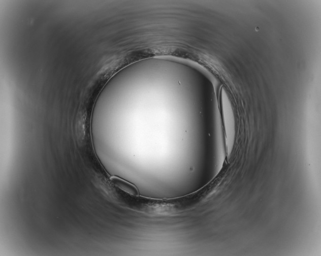 X0000086740501200704271653