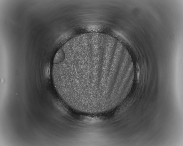 X0000086740502200704271653