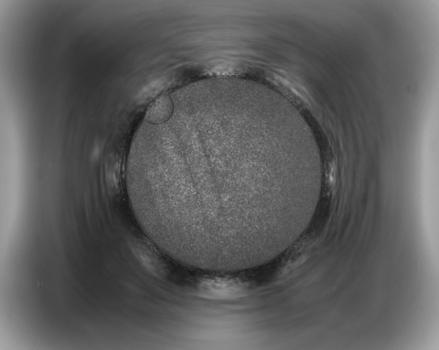 X0000086740503200704271653