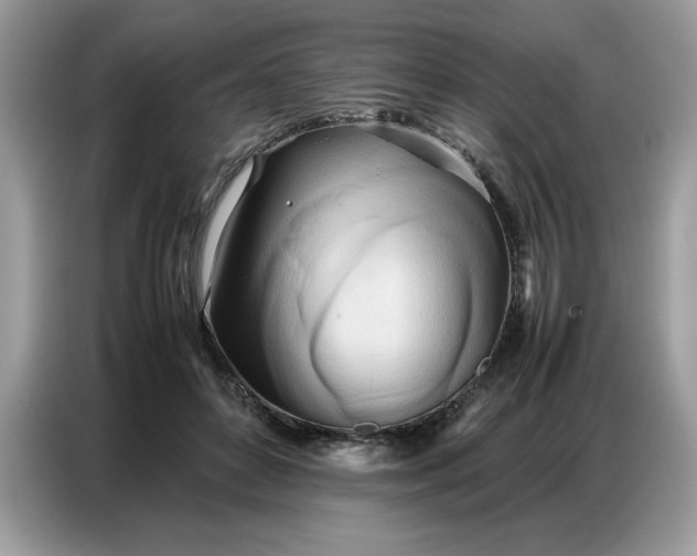 X0000086740504200704271653