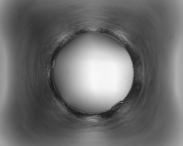 X0000086740505200704271653