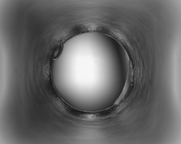 X0000086740509200704271653