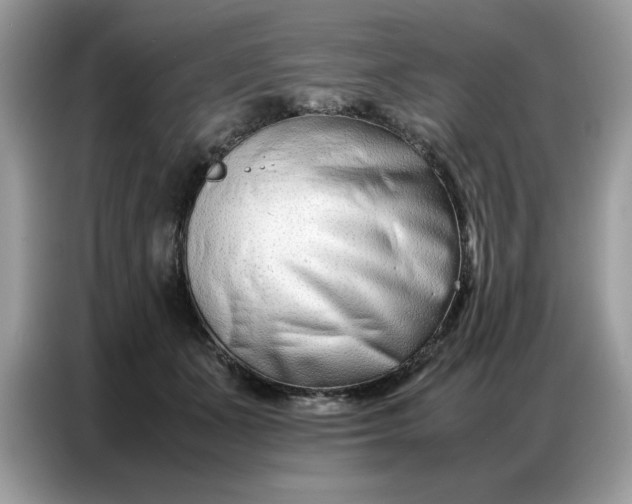 X0000086740511200704271653