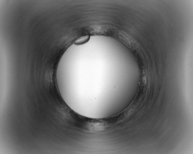 X0000086740514200704271653