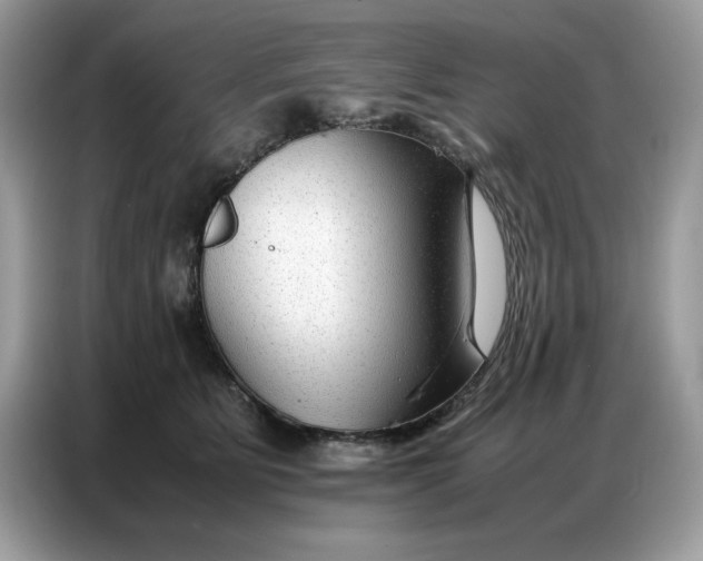 X0000086740515200704271653