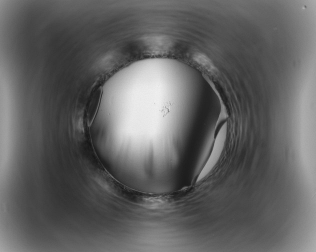 X0000086740516200704271653