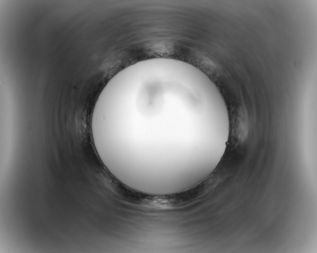 X0000086740518200704271653