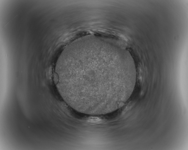 X0000086740519200704271653