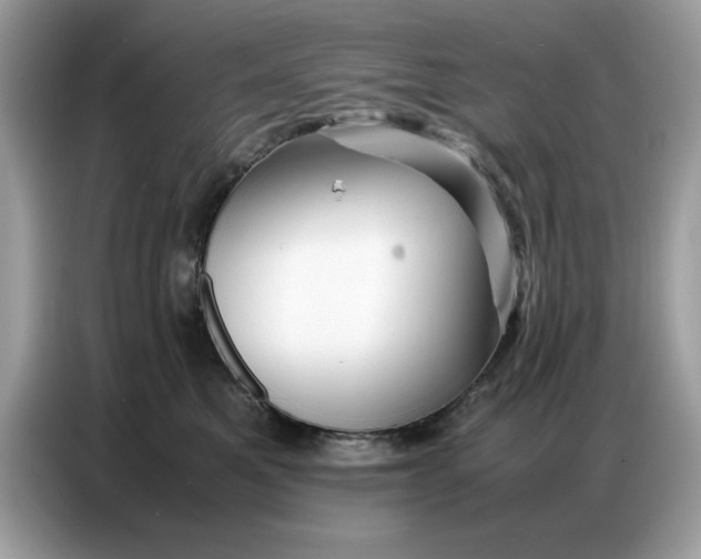 X0000086740521200704271653