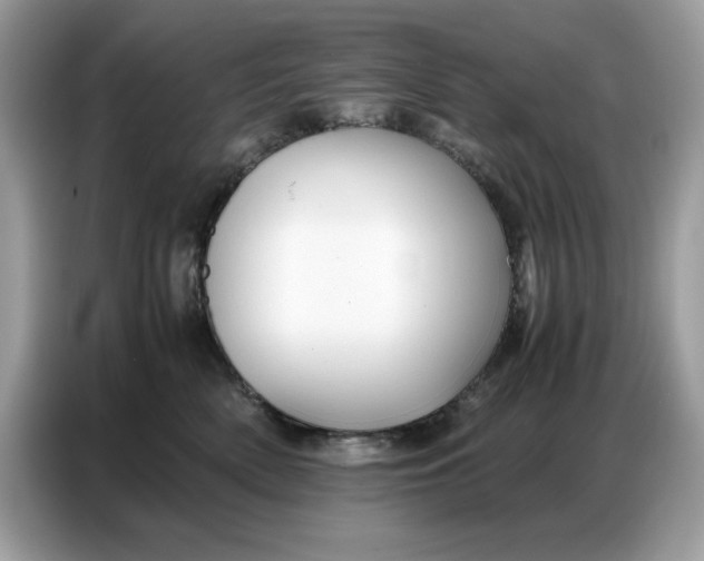 X0000086740522200704271653