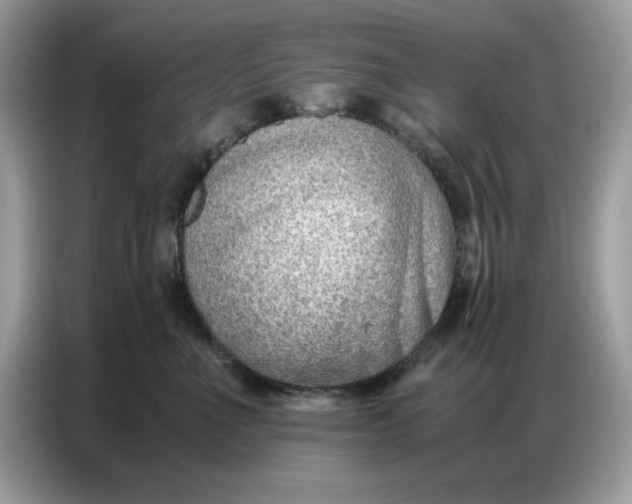 X0000086740523200704271653