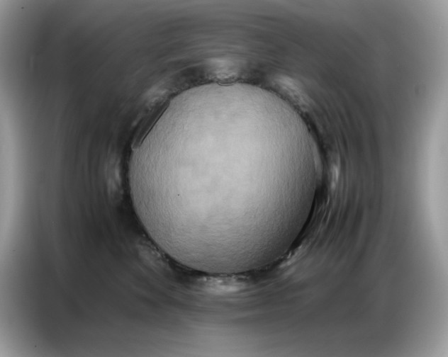 X0000086740524200704271653