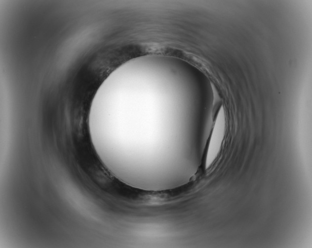 X0000086740525200704271653