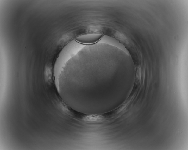 X0000086740526200704271653