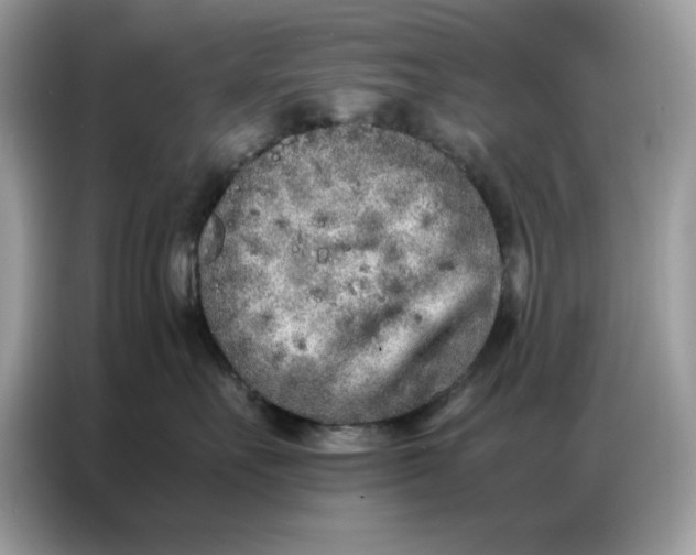 X0000086740527200704271653