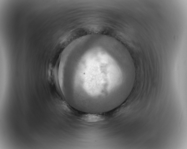 X0000086740528200704271653