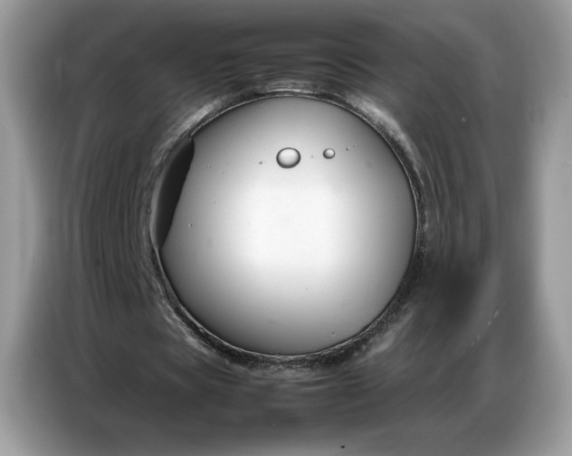 X0000086740529200704271652