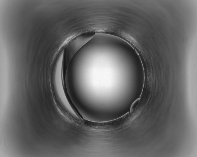 X0000086740530200704271652