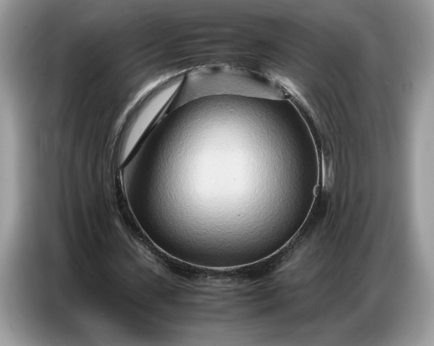 X0000086740531200704271652