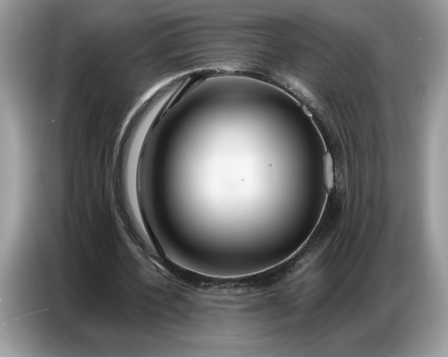 X0000086740532200704271652