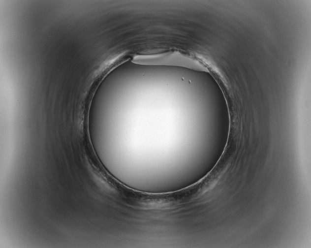 X0000086740533200704271652