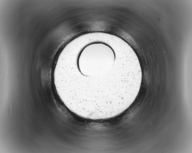 X0000086740534200704271652