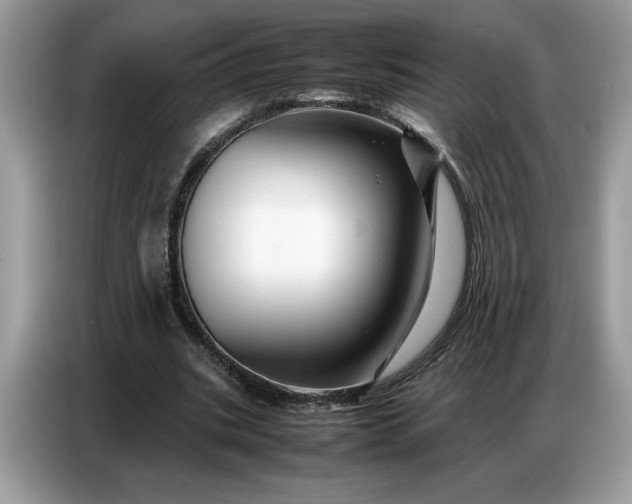 X0000086740535200704271652