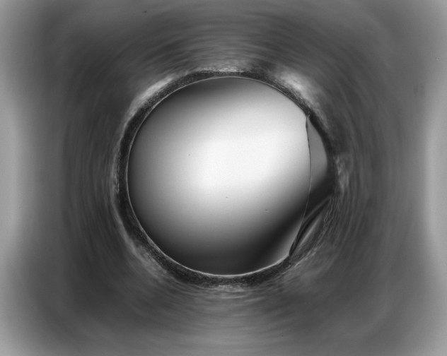 X0000086740536200704271652