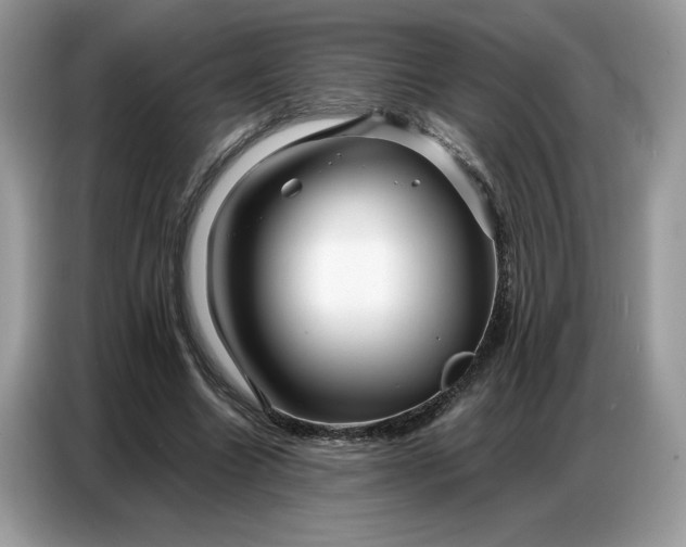 X0000086740538200704271652