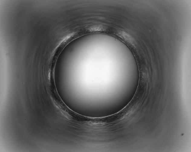 X0000086740539200704271652