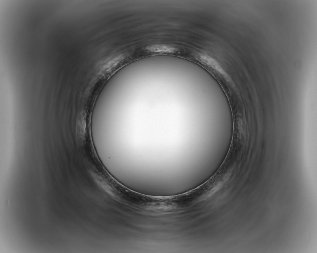 X0000086740541200704271652