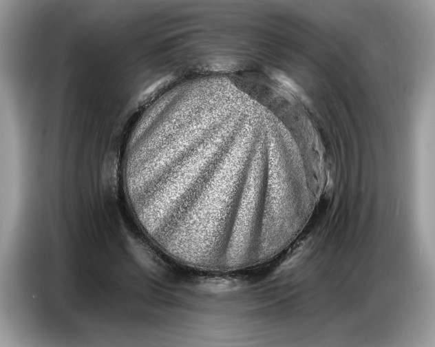 X0000086740542200704271652