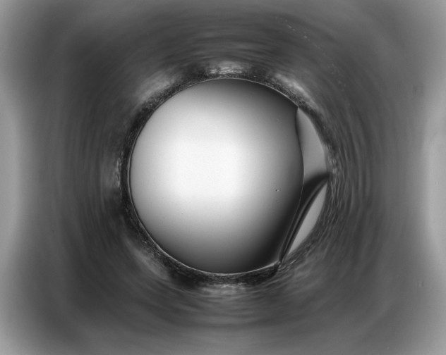 X0000086740543200704271652