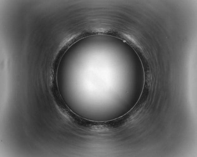 X0000086740544200704271652