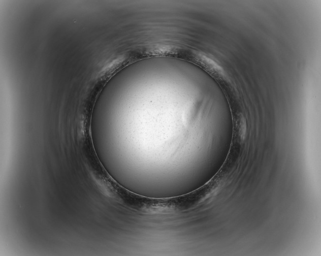 X0000086740546200704271652