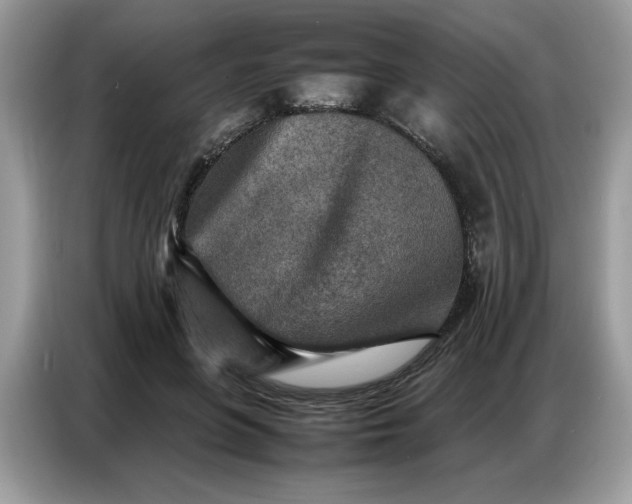 X0000086740551200704271652