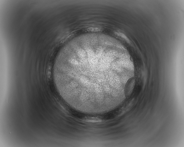 X0000086740553200704271652