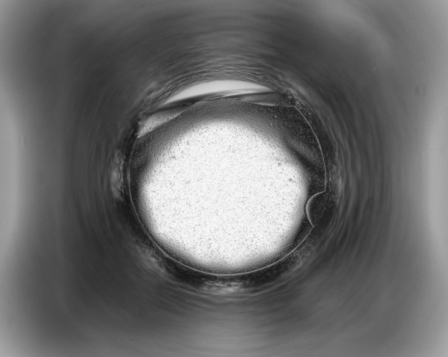 X0000086740554200704271652