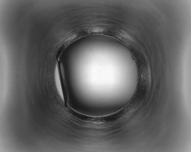 X0000086740555200704271652