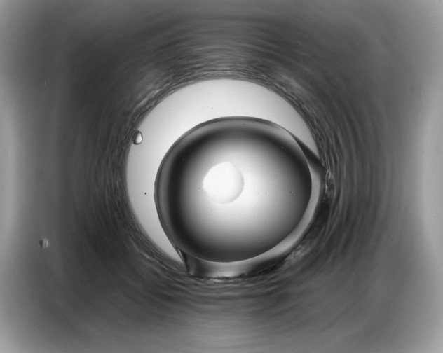 X0000086740556200704271652