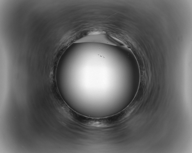 X0000086740557200704271652