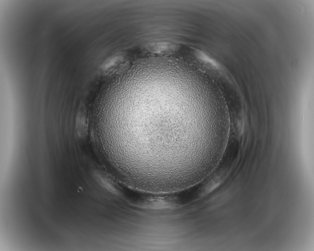 X0000086740558200704271652