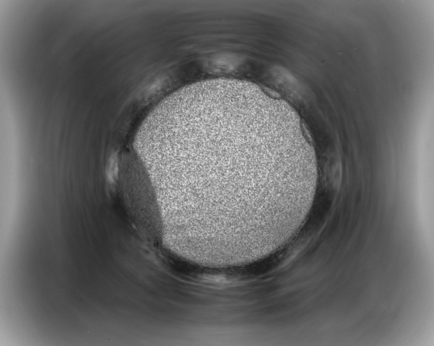 X0000086740561200704271652