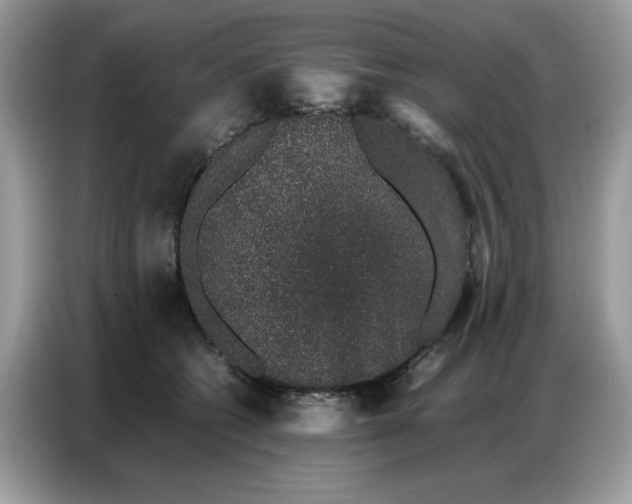 X0000086740562200704271652