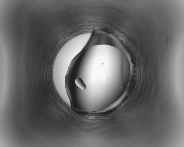 X0000086740564200704271653